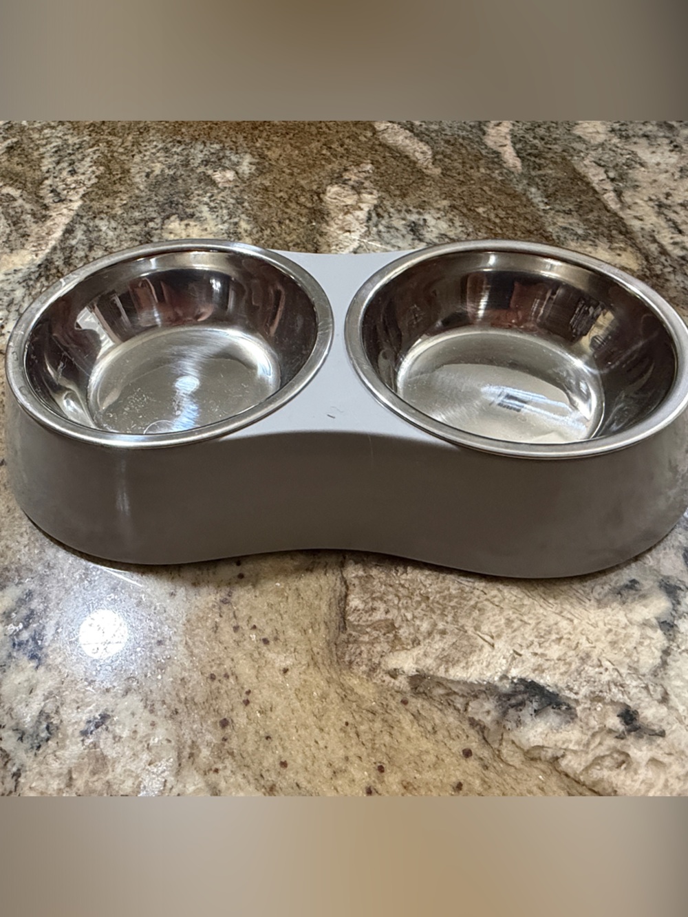 Double Stainless Steel Cat Bowl Feeder in Gray